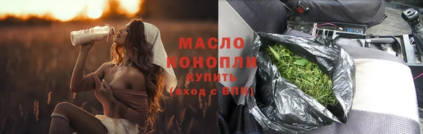 mix Богородицк